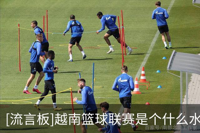 [流言板]越南篮球联赛是个什么水平？低于中国野球水平